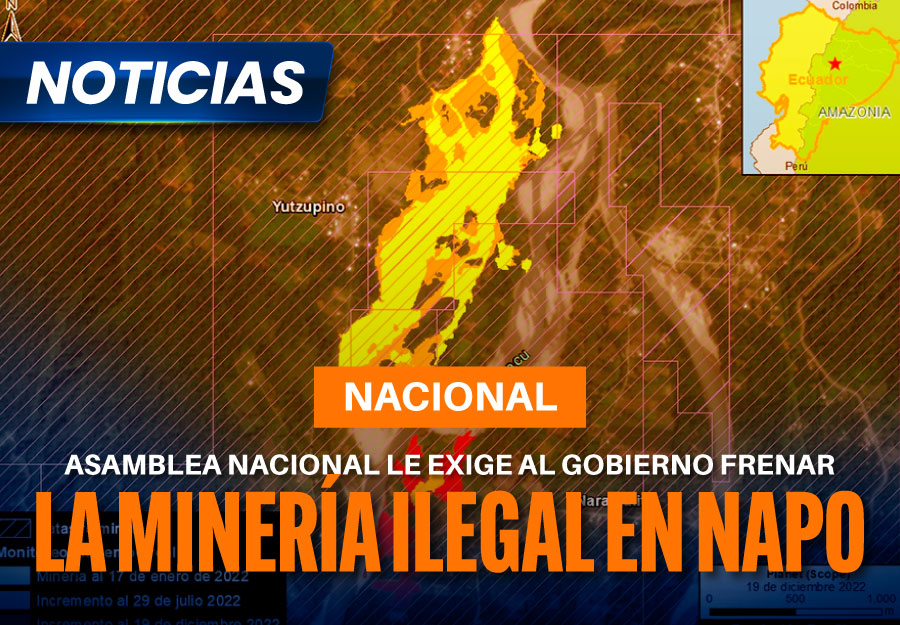 Ecuador: Asamblea Nacional le exige al gobierno frenar la minería ilegal en Napo y pide modificar dos decretos